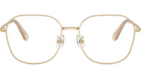 SK1009D 4013