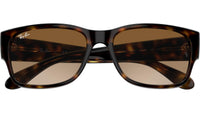 RB4388 710/51 Tortoise