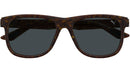 PU0442S 003 Dark Havana Grey