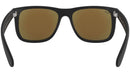 Justin Color Mix RB4165 matte black