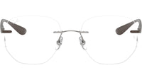 RB8766 Optics 1131