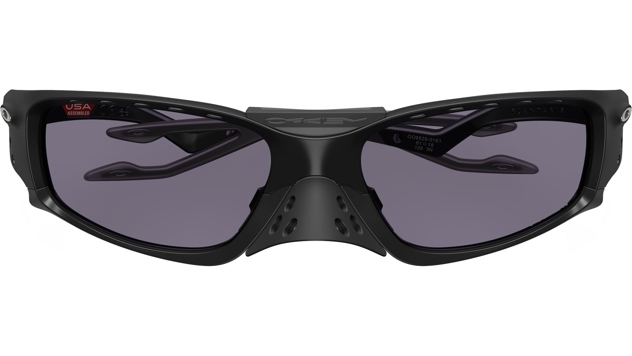 Plantaris SQ OO9529 01