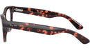 RB5510 Optics 8118