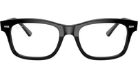 Mr Burbank Optics RB5383 2000