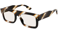 GG1085S 002 brown tortoise