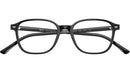Leonard Optics RB5393 2000