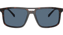 PR A22S 17N06A Tortoise