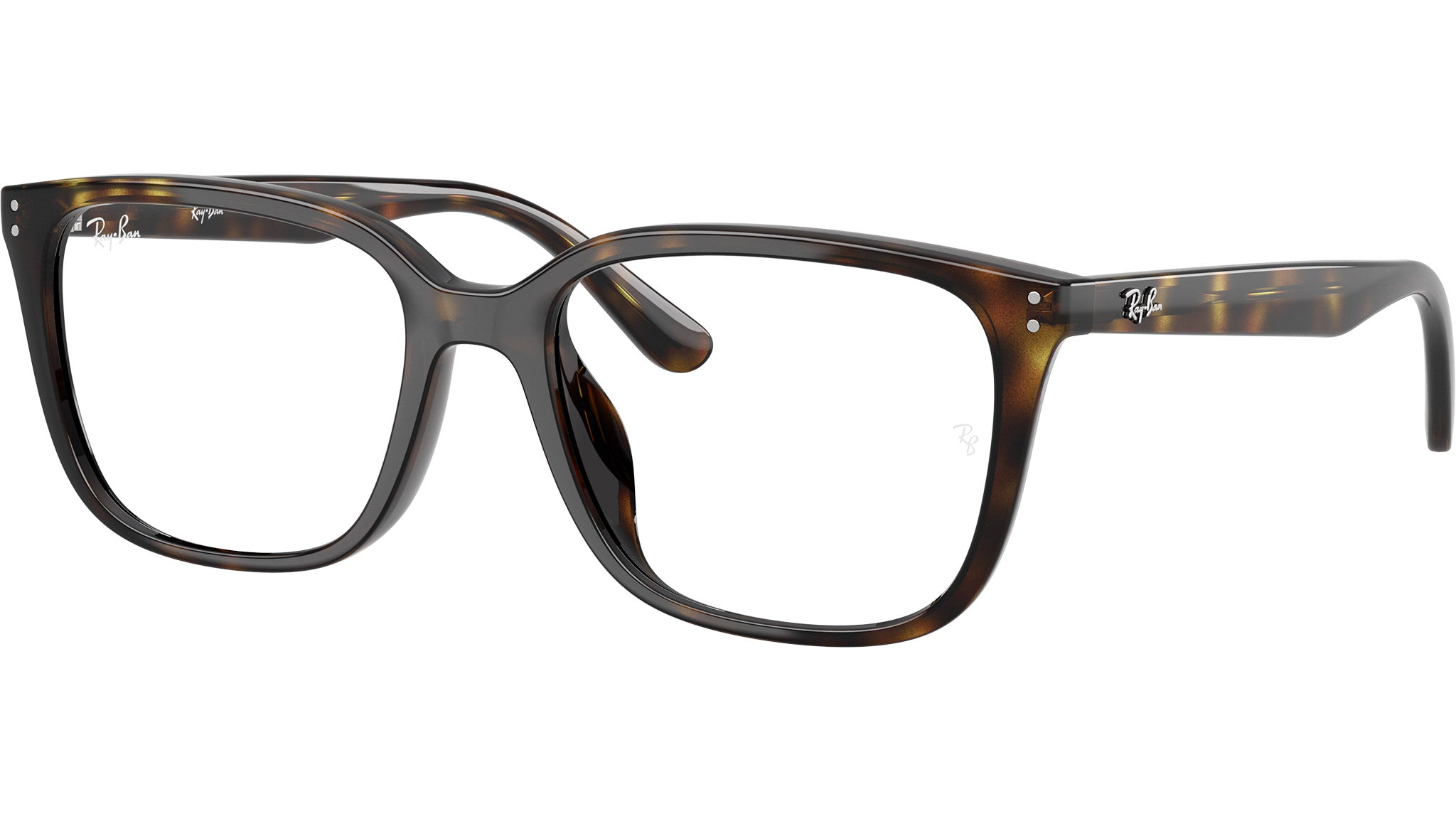 RB7248D Optics 2012