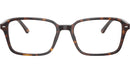 Raimond Optics RB5431 2012