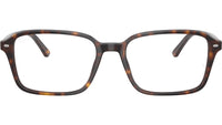 Raimond Optics RB5431 2012