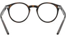 RY1594 3685 Tortoise