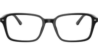 Raimond Optics RB5431 2000