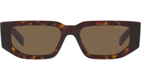PR 09ZS tortoise