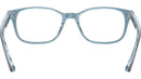 RB5375 Optics 5883