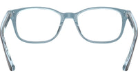 RB5375 Optics 5883