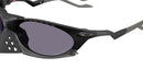 Plantaris OO9437 01