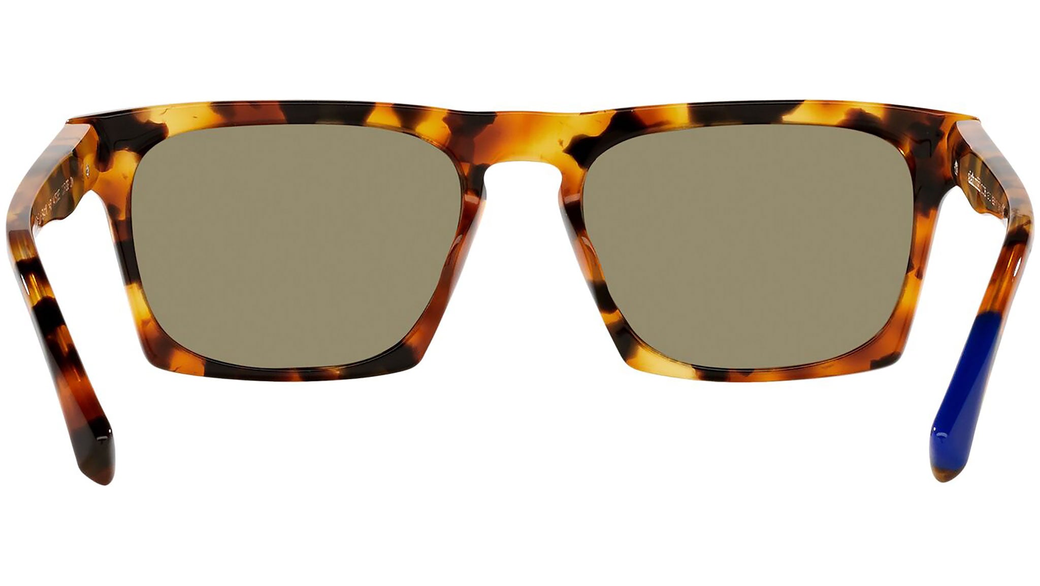 N°861 Sun 5065 005/3G tortoise