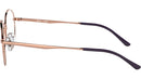 RB3681V Optics 3094