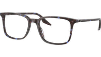 RB5421 Optics 8424