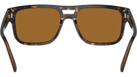 EA4197 587983 Tortoise