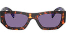 PR A01S 14O50B Tortoise