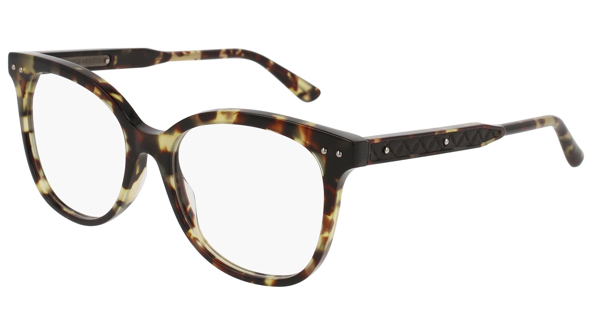 BV0121O shiny spotted tortoise