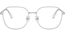 SK1009D 4001