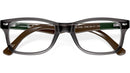 RB5228 Optics 5546