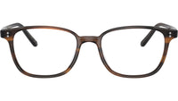 Maslon OV5279U brown