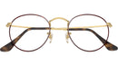 RB3447V Optics 3188