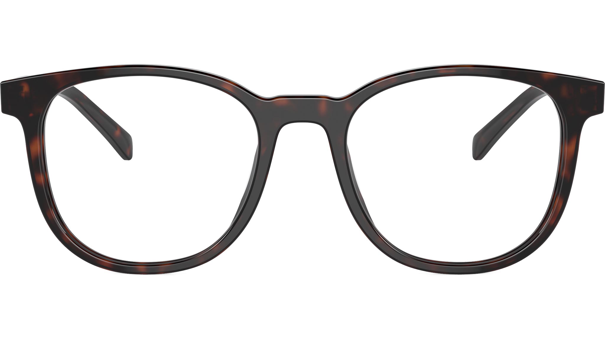 PR A15V 17N1O1 Tortoise