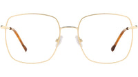 IM 0029 06J