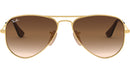 Aviator RJ9506S 223/13 arista