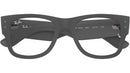RB7840V Optics 5521