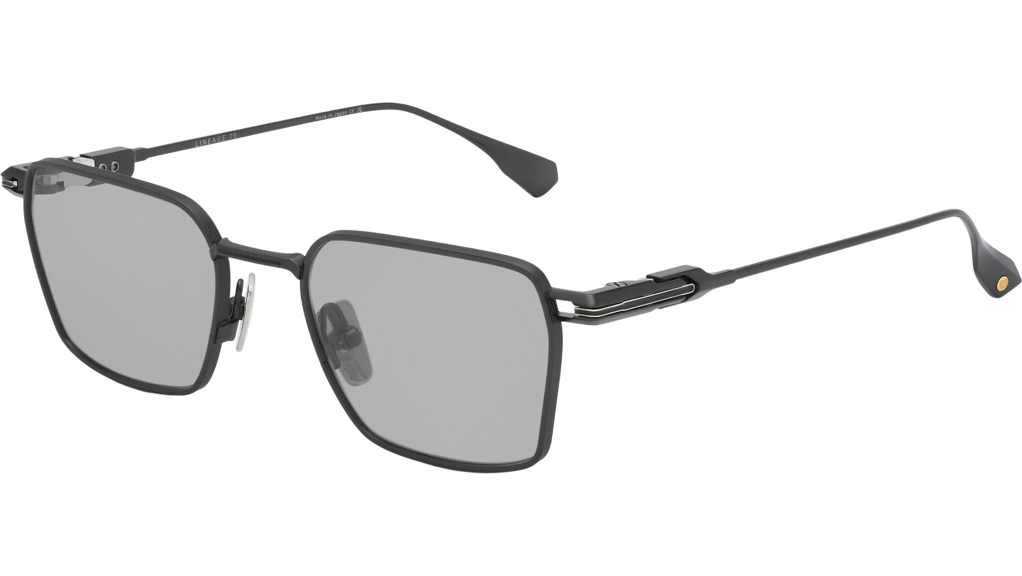 Lineage.70 DTX206 01