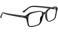 Raimond Optics RB5431 2000