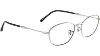 RB3749V Optics 2501