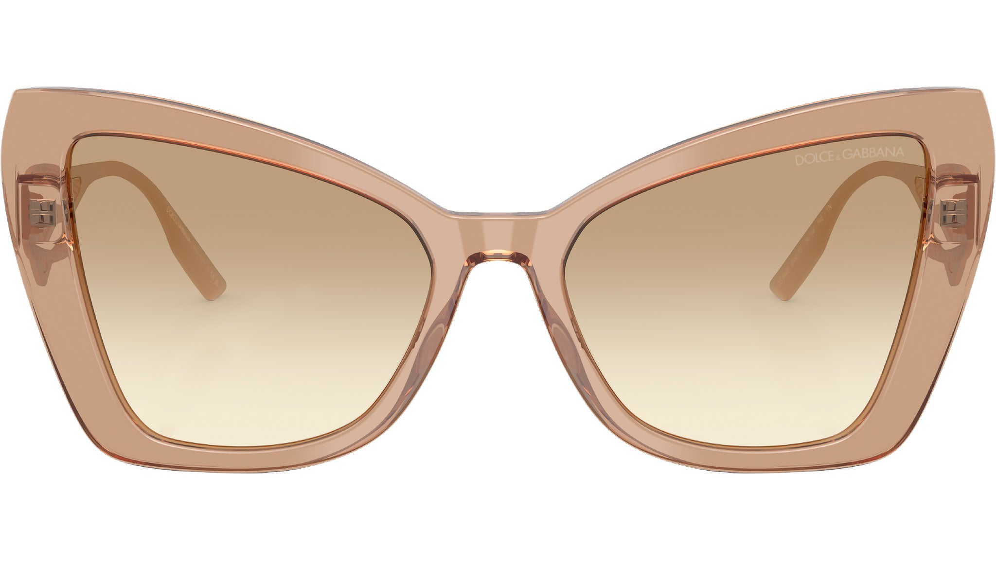 DG 4489 343213 Camel