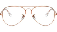 Aviator Optics RB6489 3094