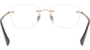 RB8748 Optics 1131