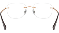 RB8748 Optics 1131