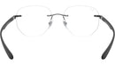 RB8766 Optics 1128