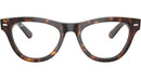RB5510 Optics 2012