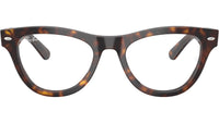 RB5510 Optics 2012