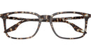 RB5421 Optics 8425