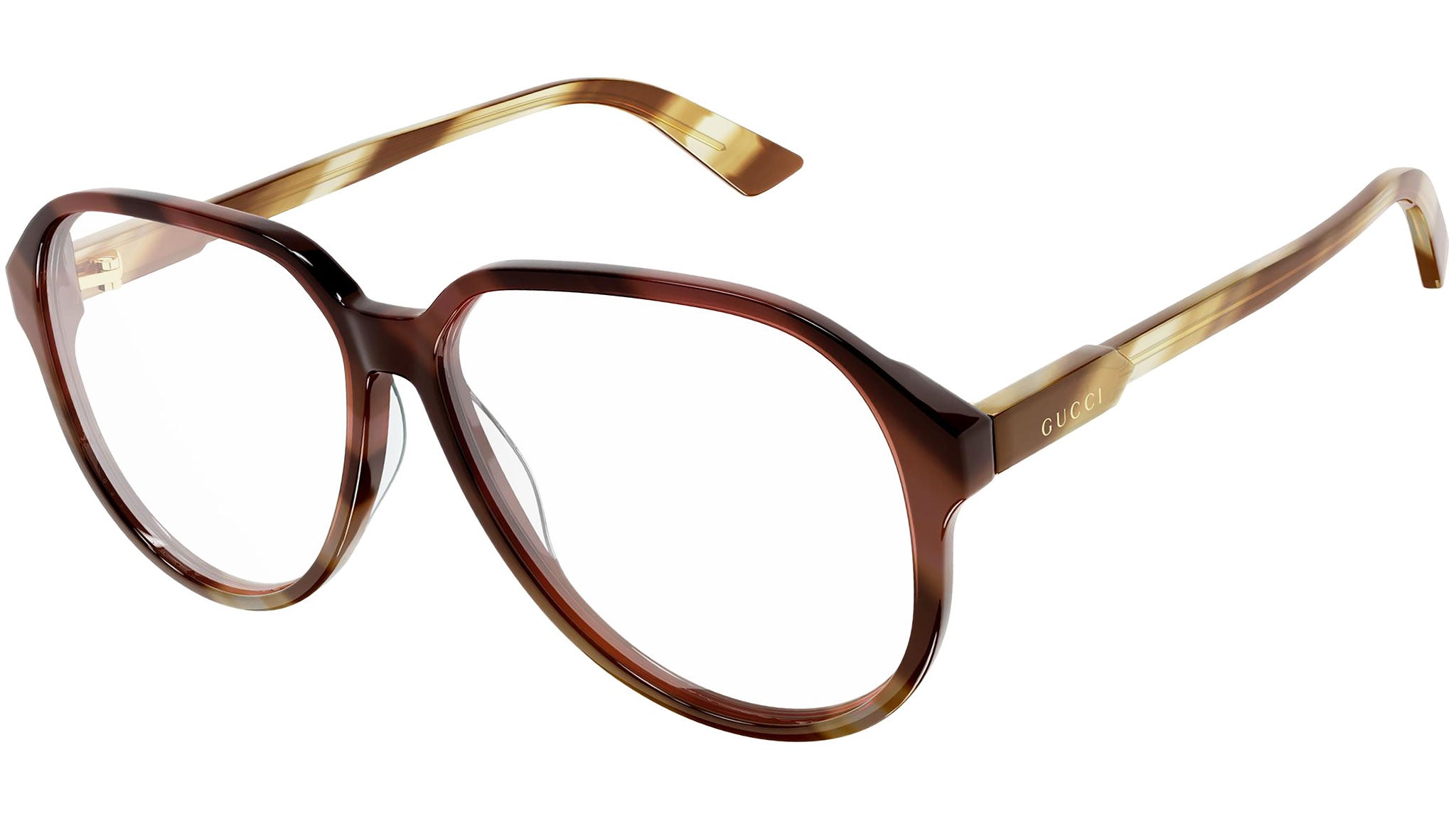 GG1036O 003 brown tortoise