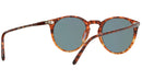 O'Malley Sun OV5183S 1638R8 Tortoise