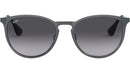 Erika Metal RB3539 192/8G metallic grey