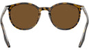 RB2204 139357 Havana Clear