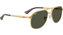 Bill Max RB3793 001/31